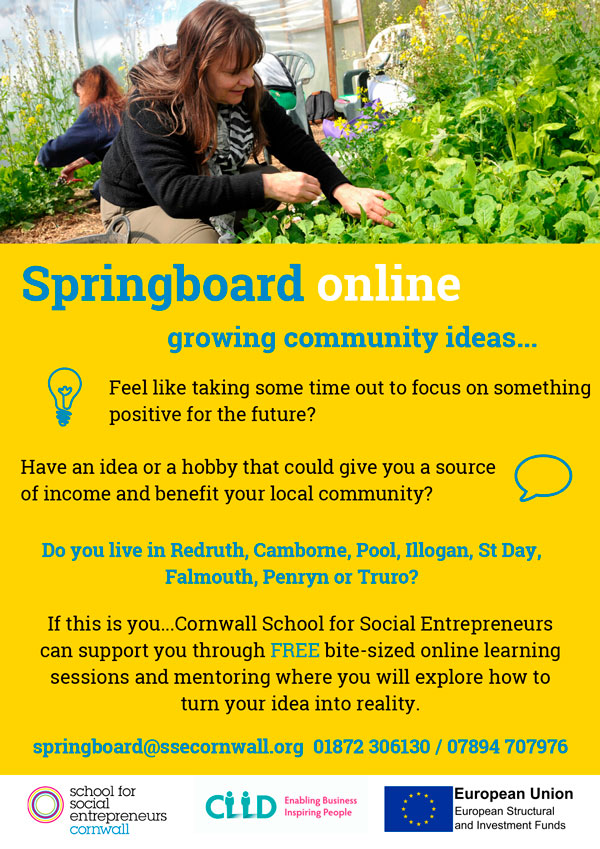 Springboard Growing Community Ideas Poster